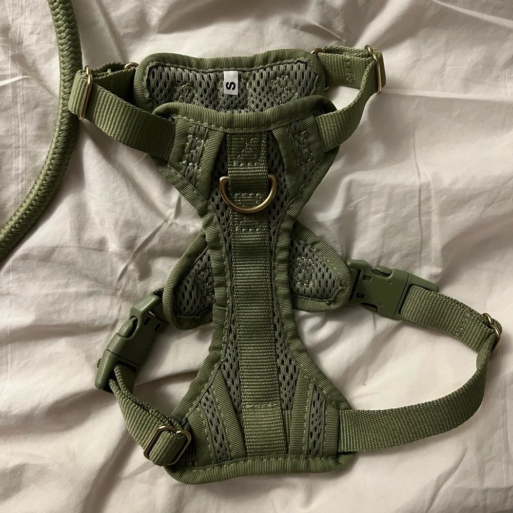 Awoo Walk Set Bundle - Picture 3 of 4